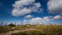 /album/emberek-vilaga/img-9965-masolas-jpg/